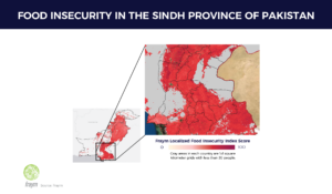 Food Insecurity in the Sindh province of Pakistan